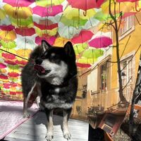 画像23477