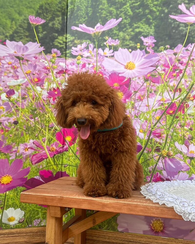画像23556