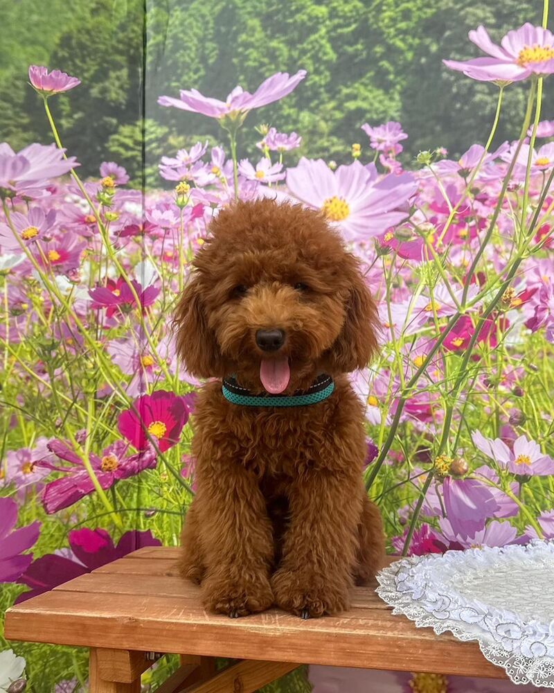 画像23557