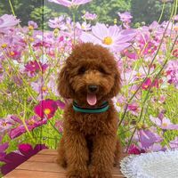 画像23558