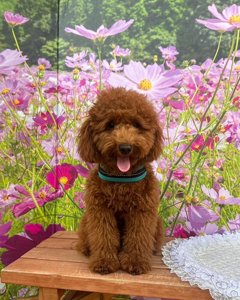 画像23558