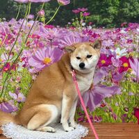 画像23625