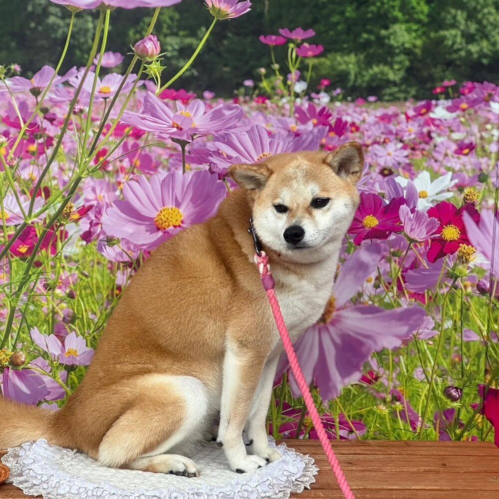 画像23625