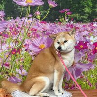 画像23626