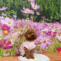画像23730