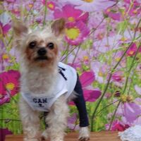 画像23741
