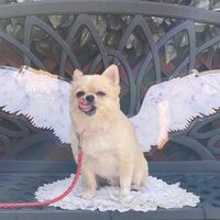 画像23858