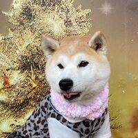 画像2393