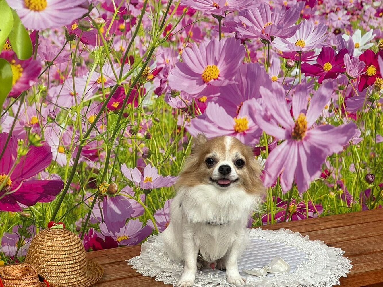 画像24203