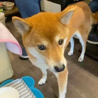 画像24383