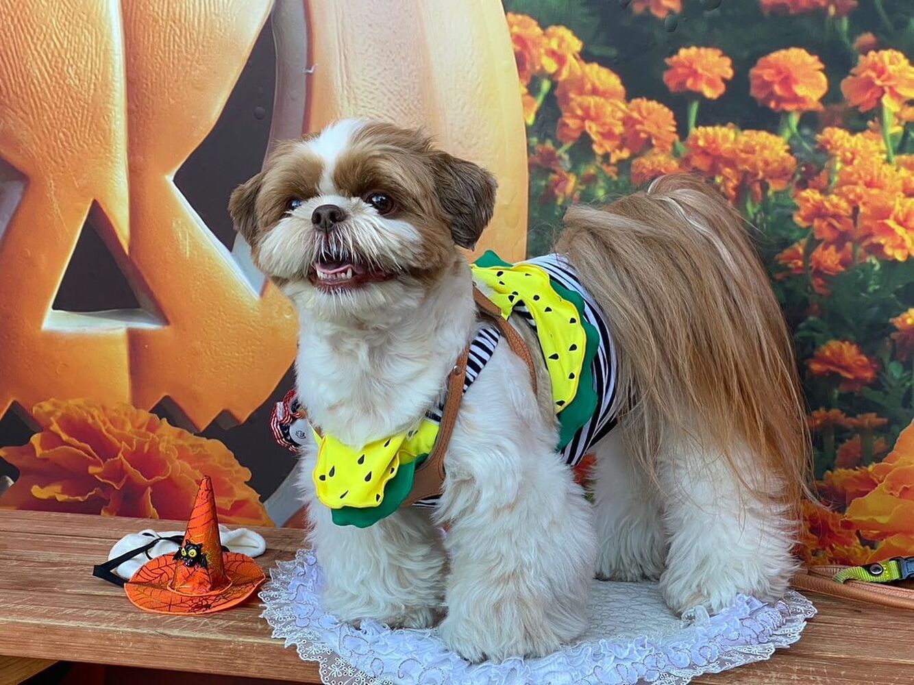 画像24423
