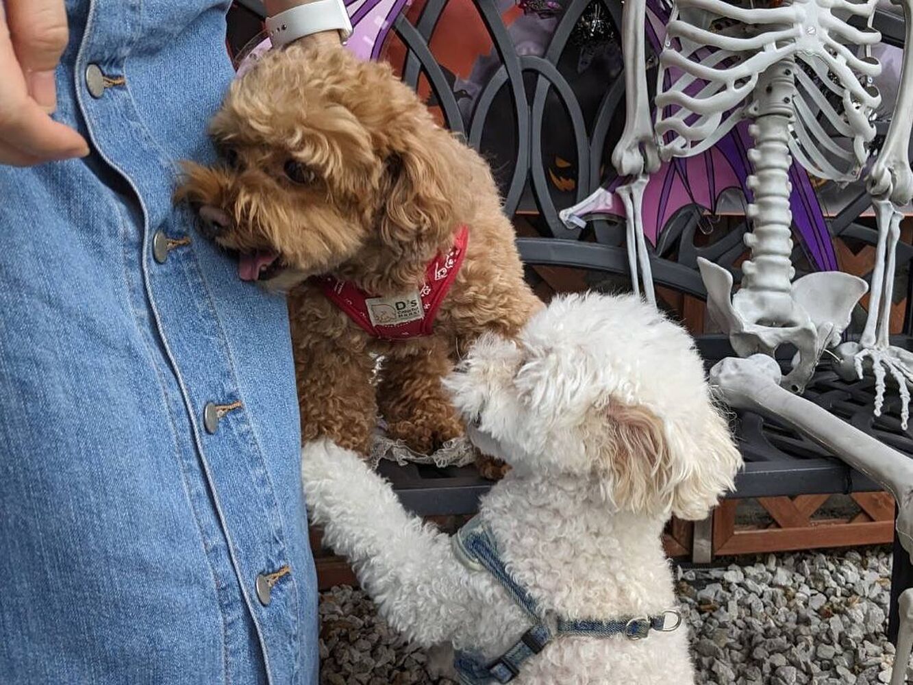 画像24477