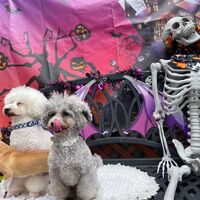 画像24482
