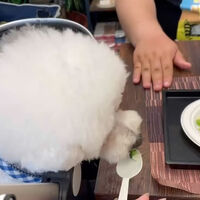 画像24486