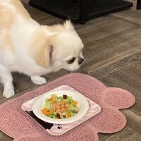画像24499