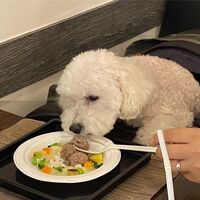 画像24559
