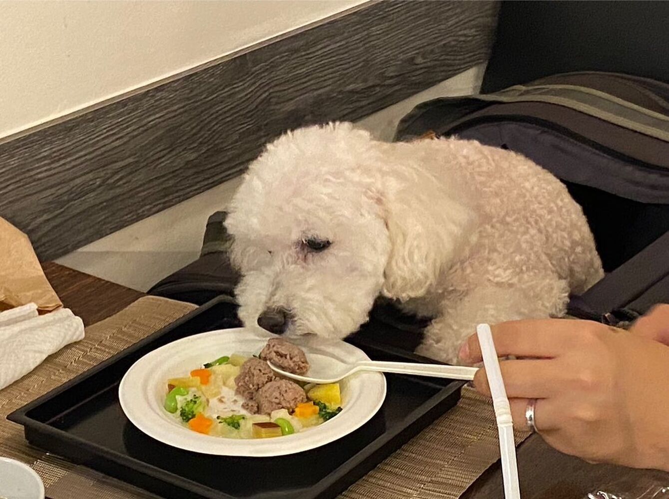 画像24559