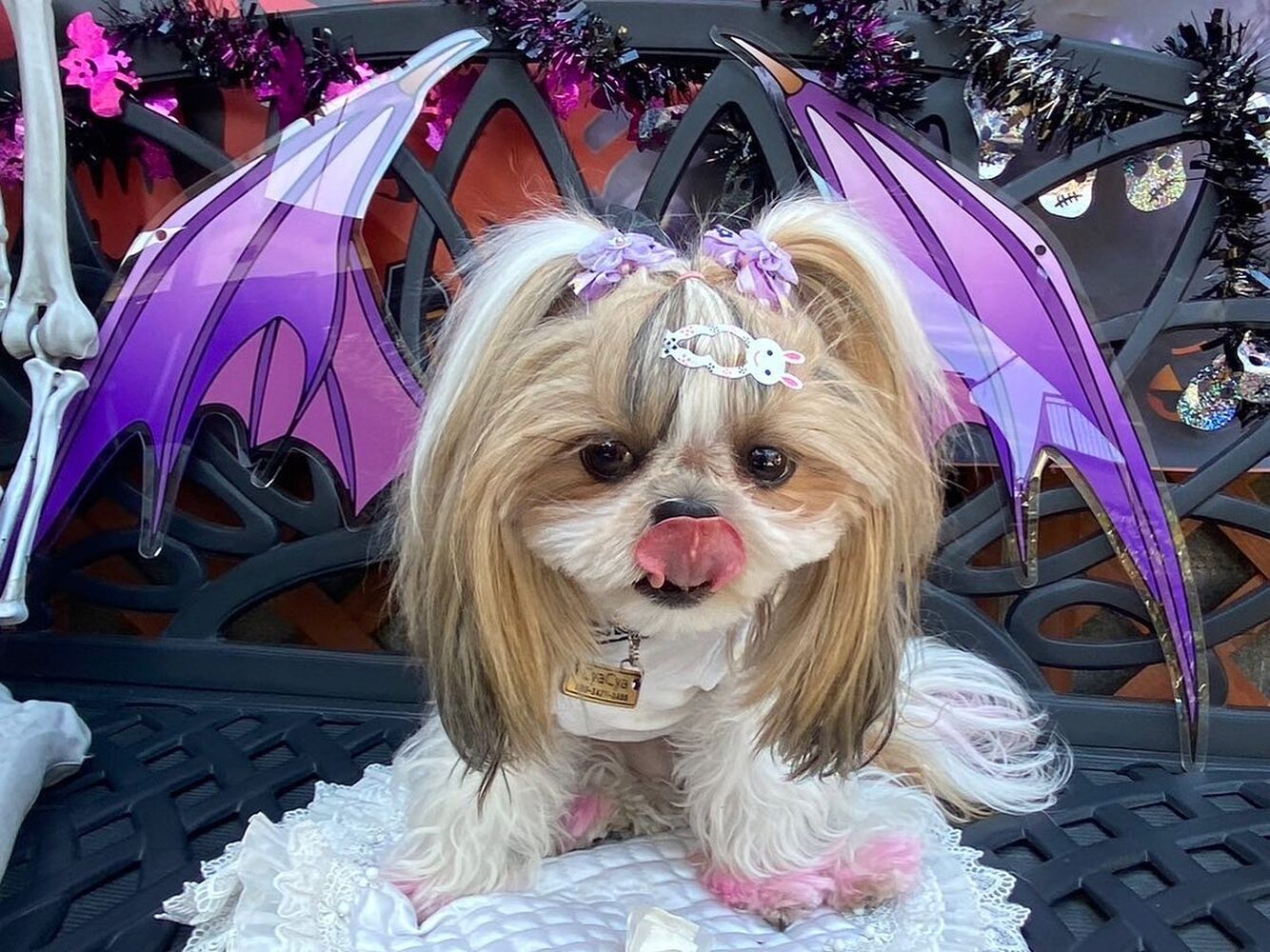 画像24636