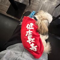 画像24749