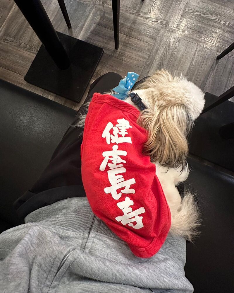 画像24749