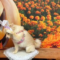 画像24755
