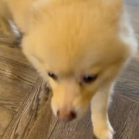 画像24760