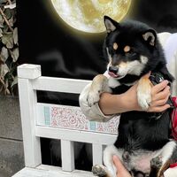 画像25121