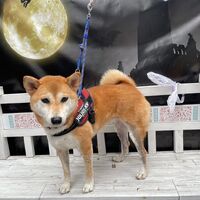 画像25164
