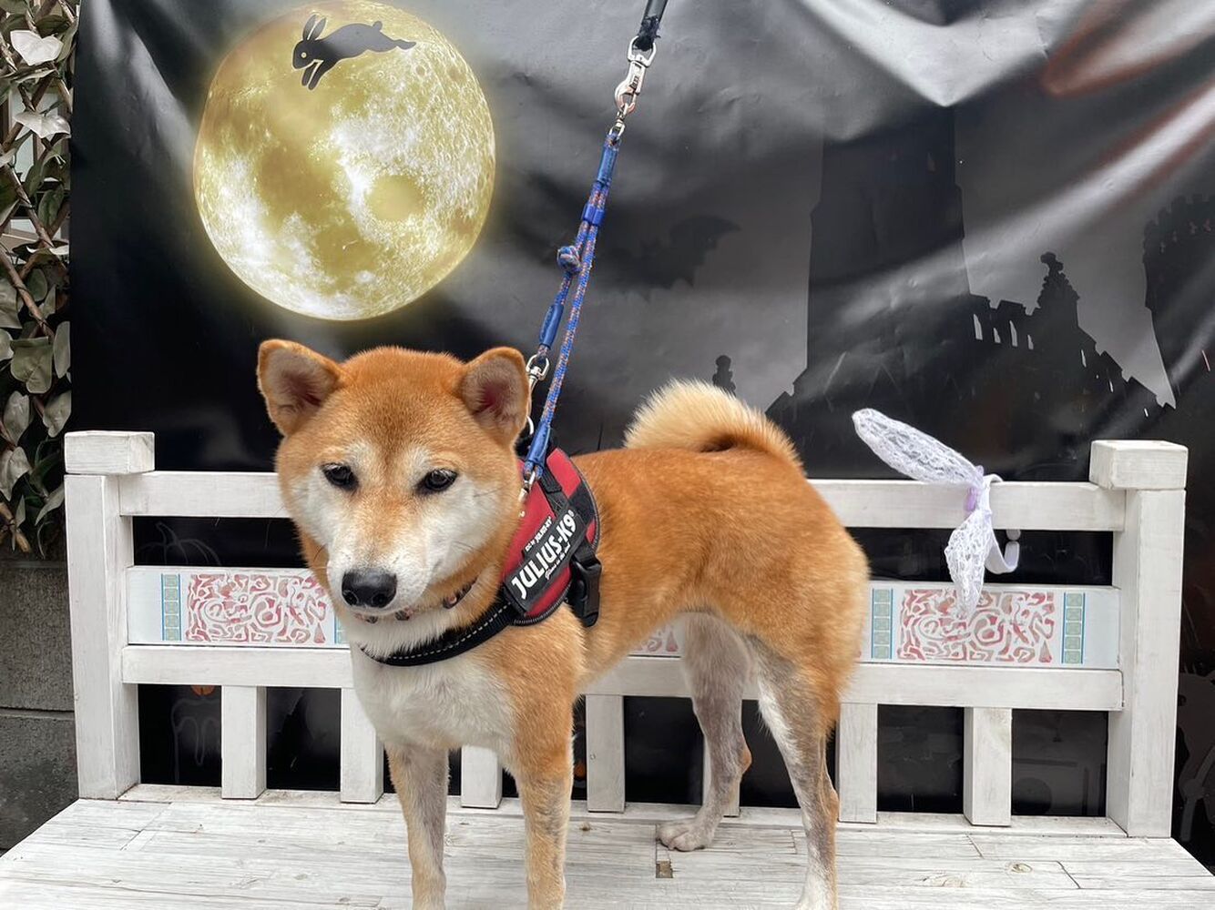画像25165