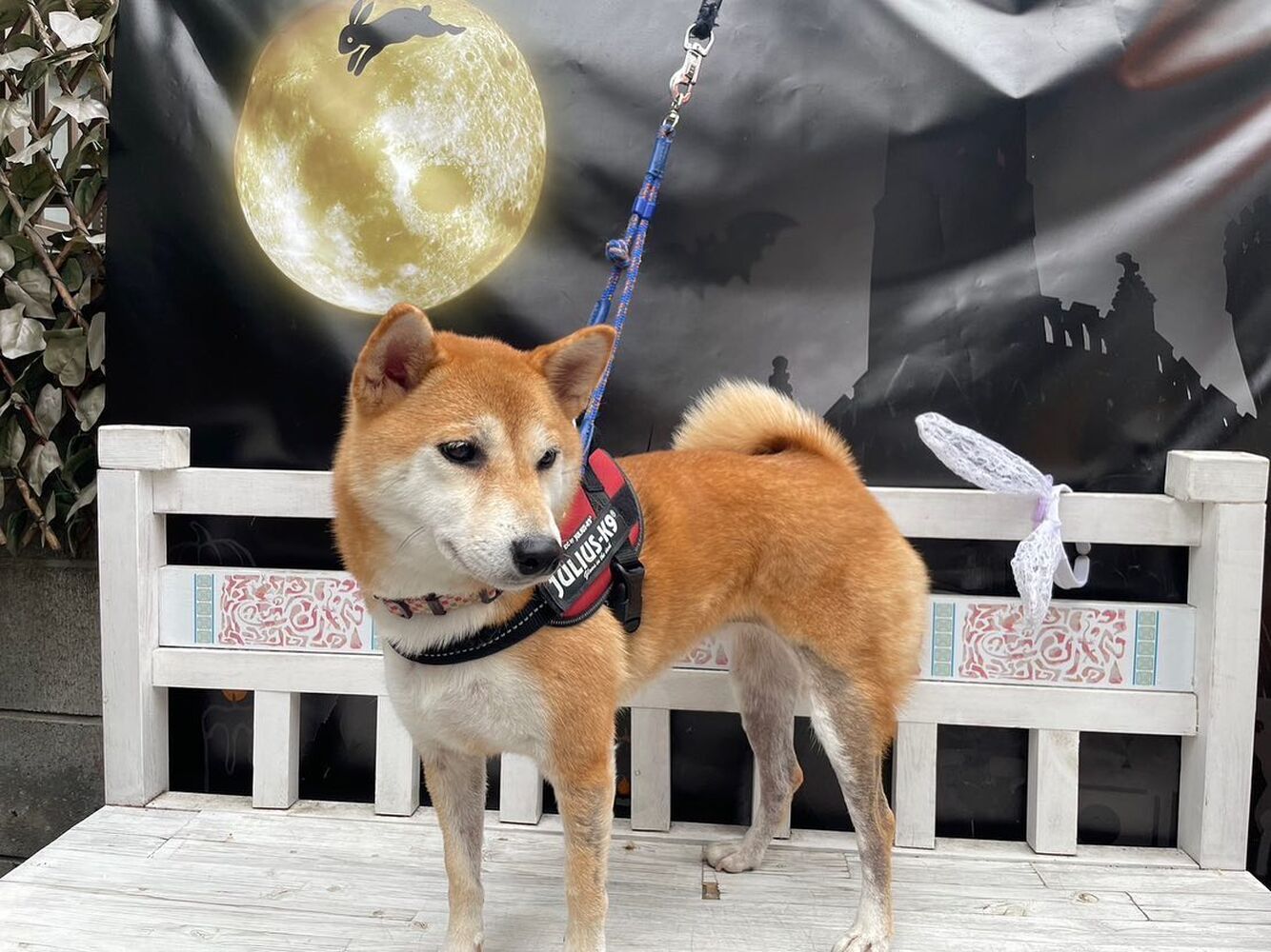 画像25166