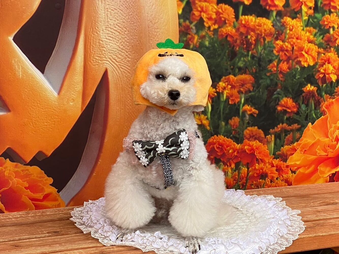 画像25191