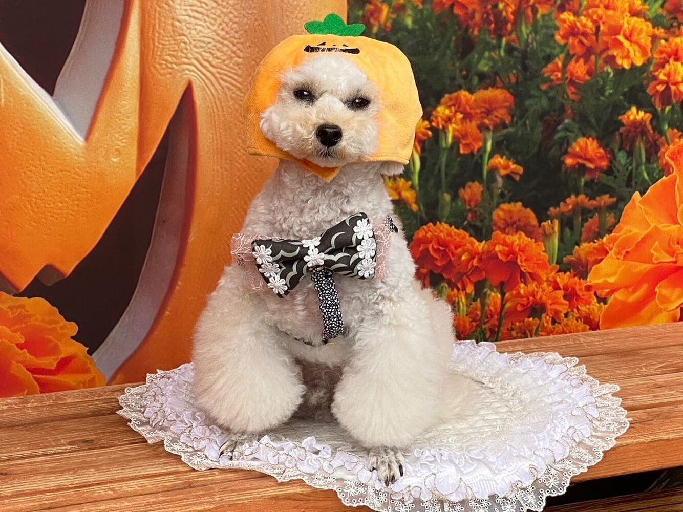 画像25192
