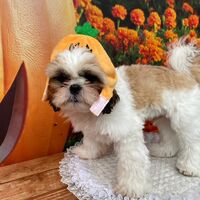 画像25362