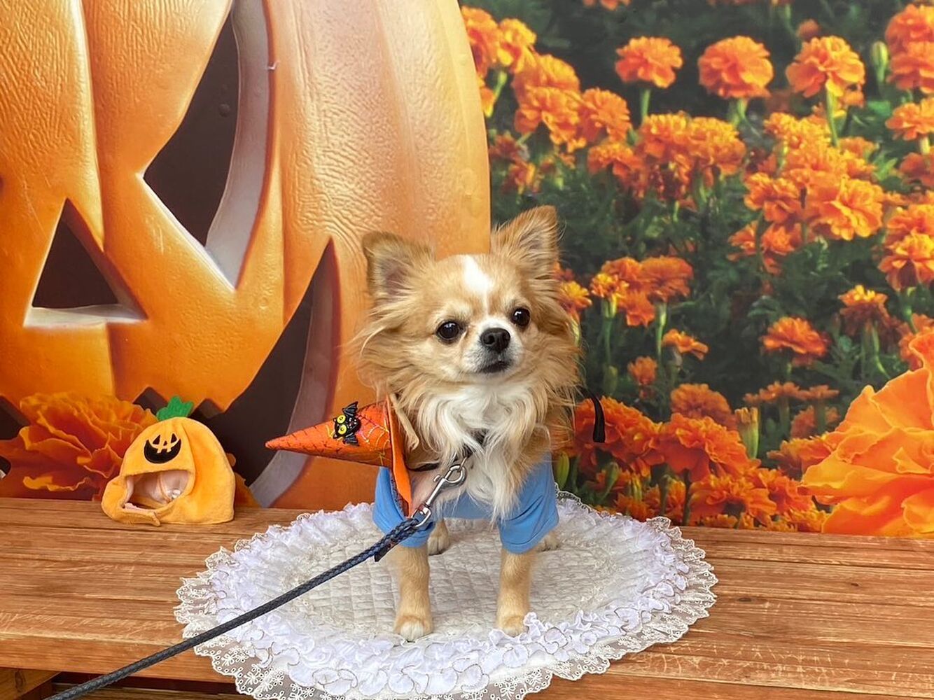 画像25391