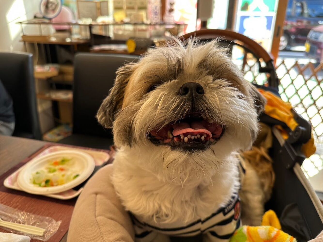 画像25474