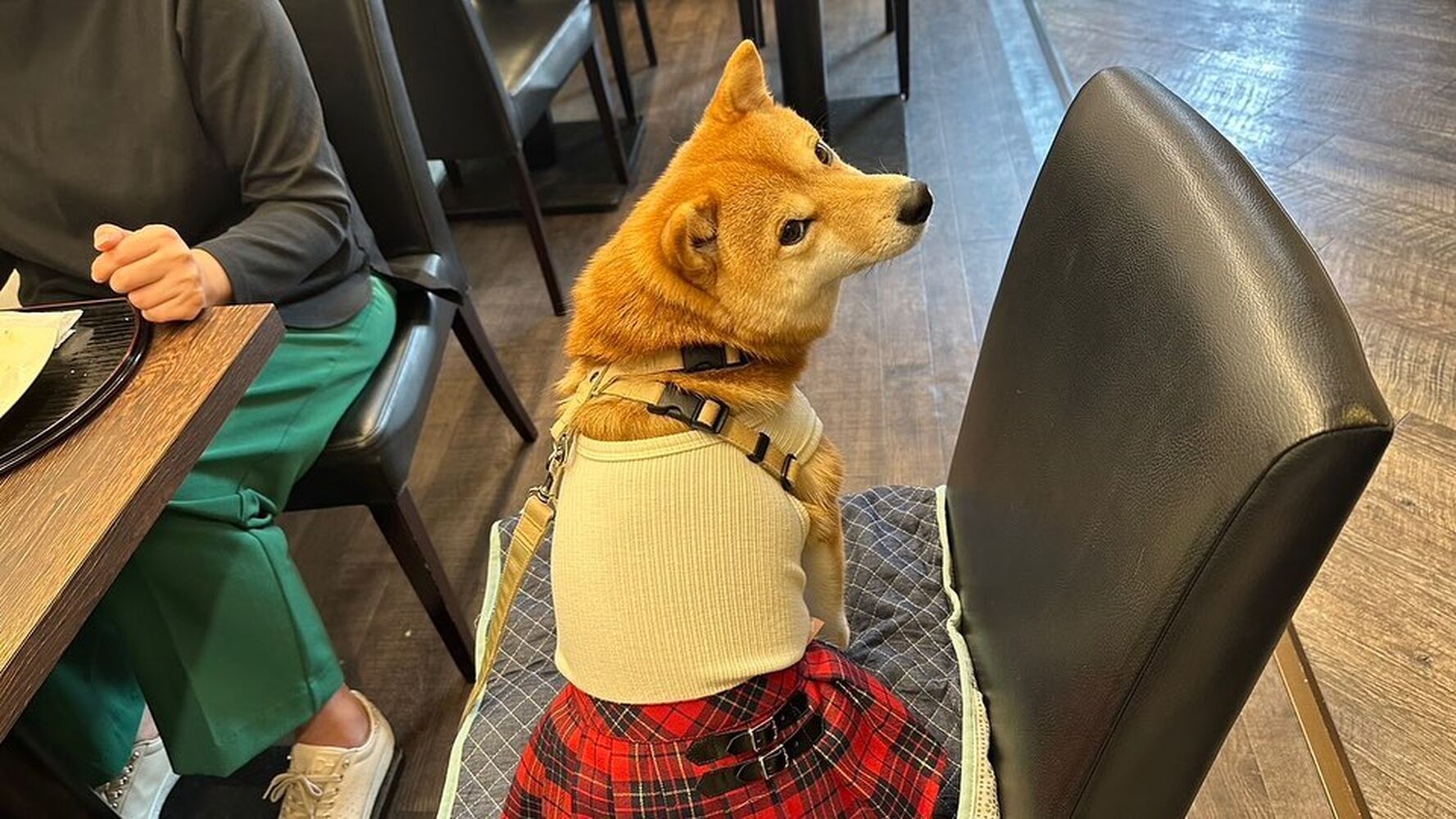 画像25526