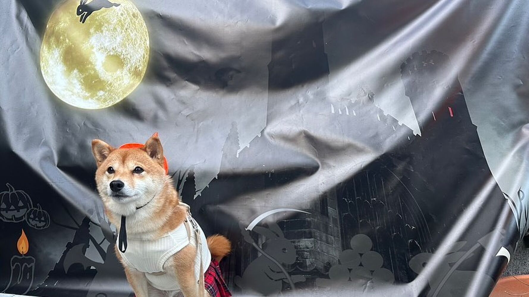 画像25529