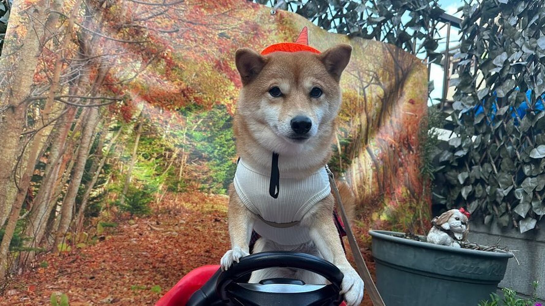 画像25530