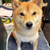 画像25536