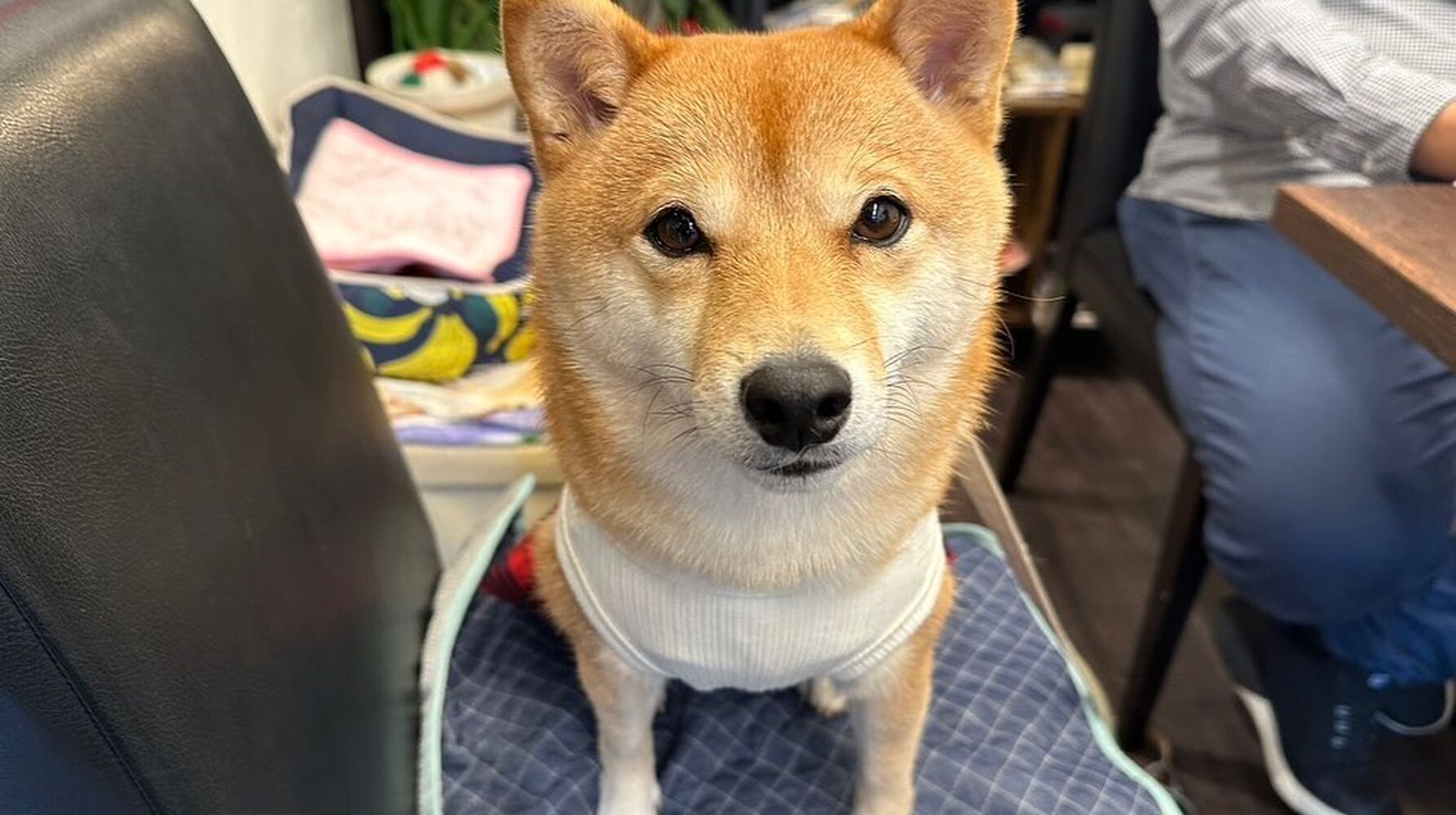 画像25536