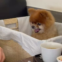 画像25646