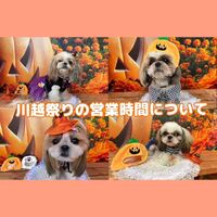 画像25649