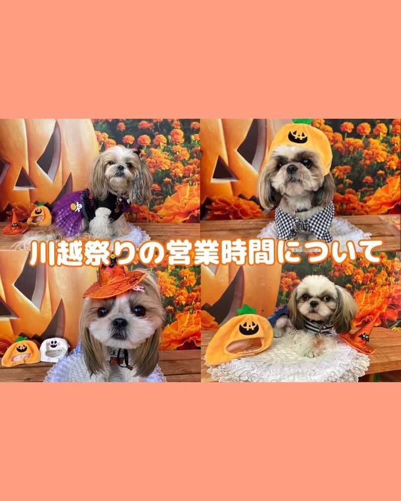 画像25649