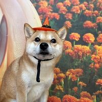 画像25665