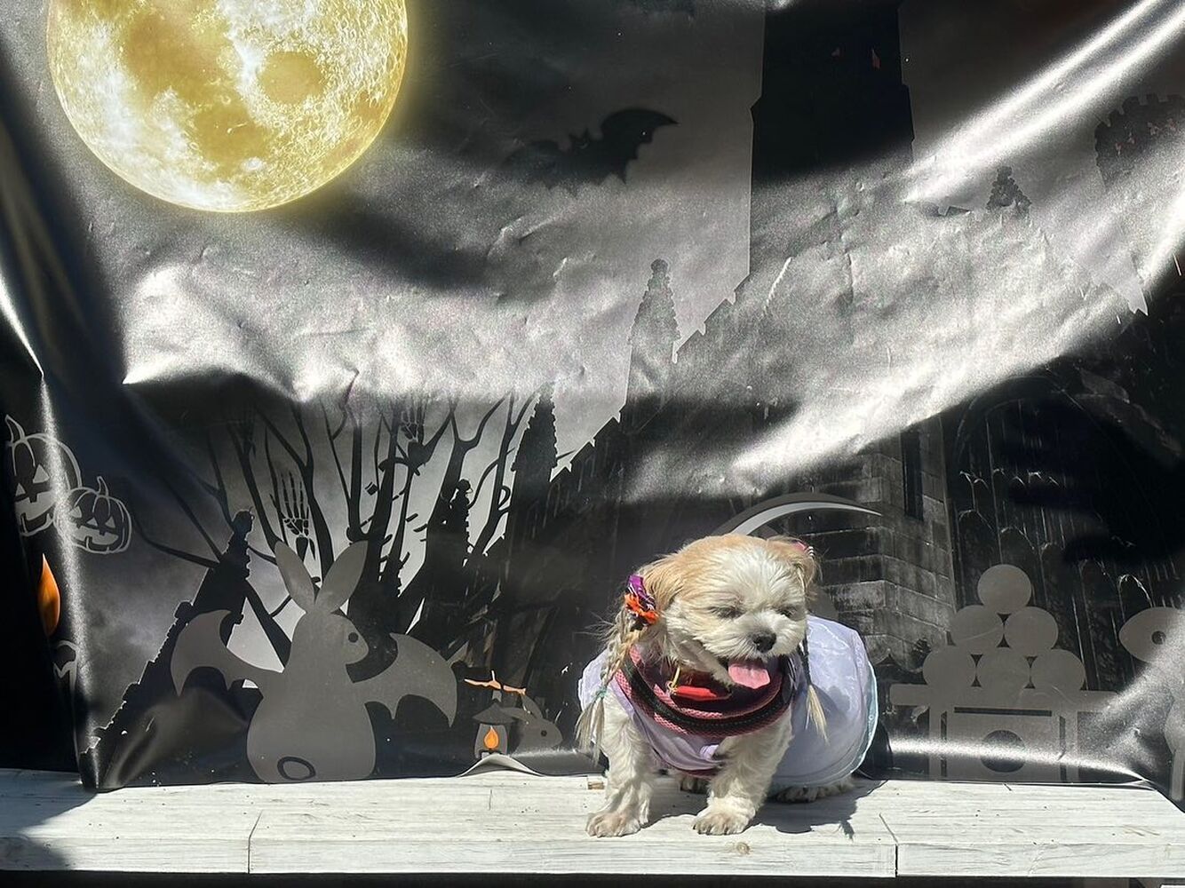 画像25714