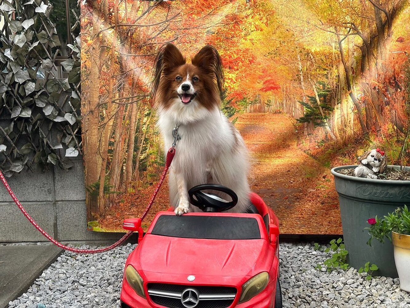 画像25810