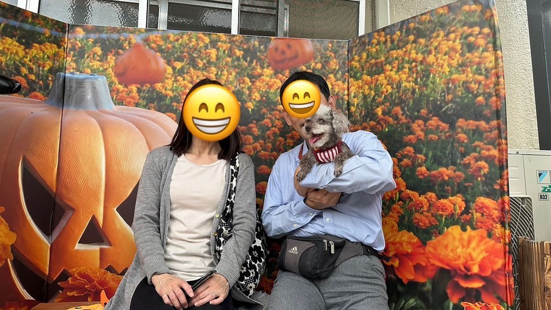 画像25822
