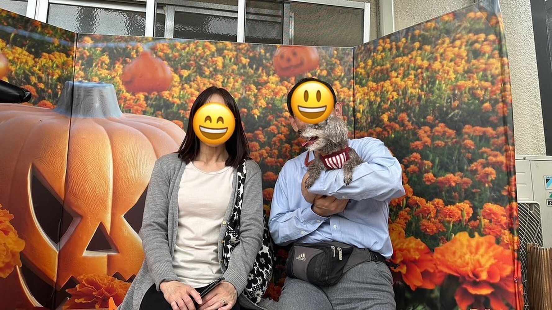 画像25823
