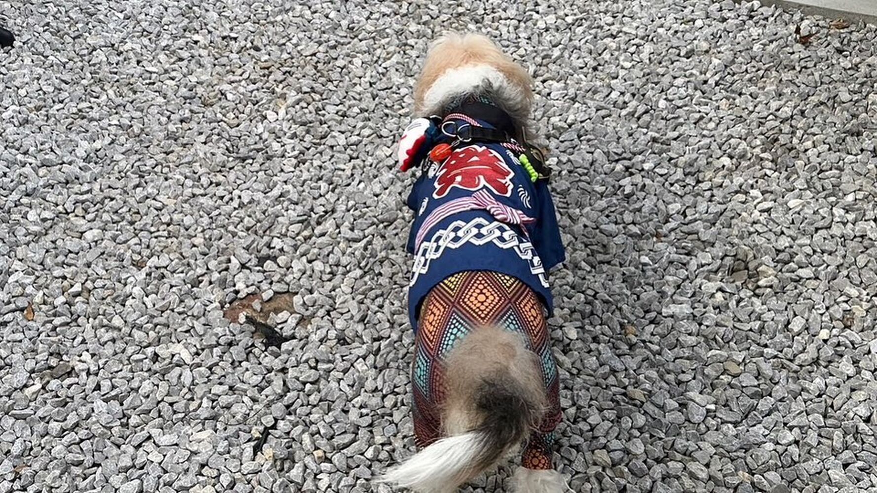 画像25836