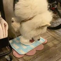 画像25889